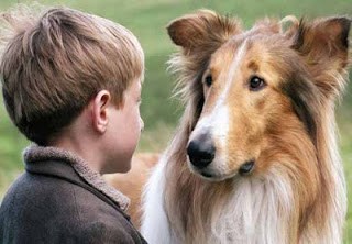 Afastar as pessoas: Estratégia Lassie vai